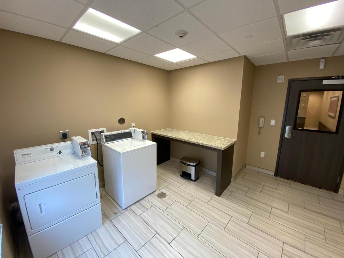 Comfort Suites Near Sam Houston Race Park Jersey Village Exteriér fotografie