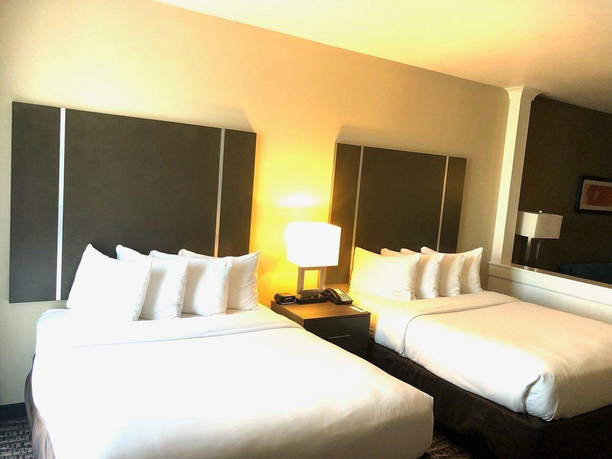 Comfort Suites Near Sam Houston Race Park Jersey Village Exteriér fotografie